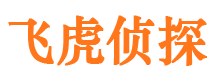 武功寻人公司